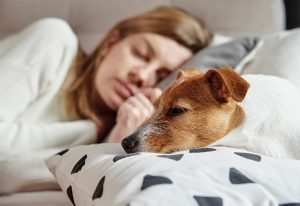 Woman sleeping next to her dog.